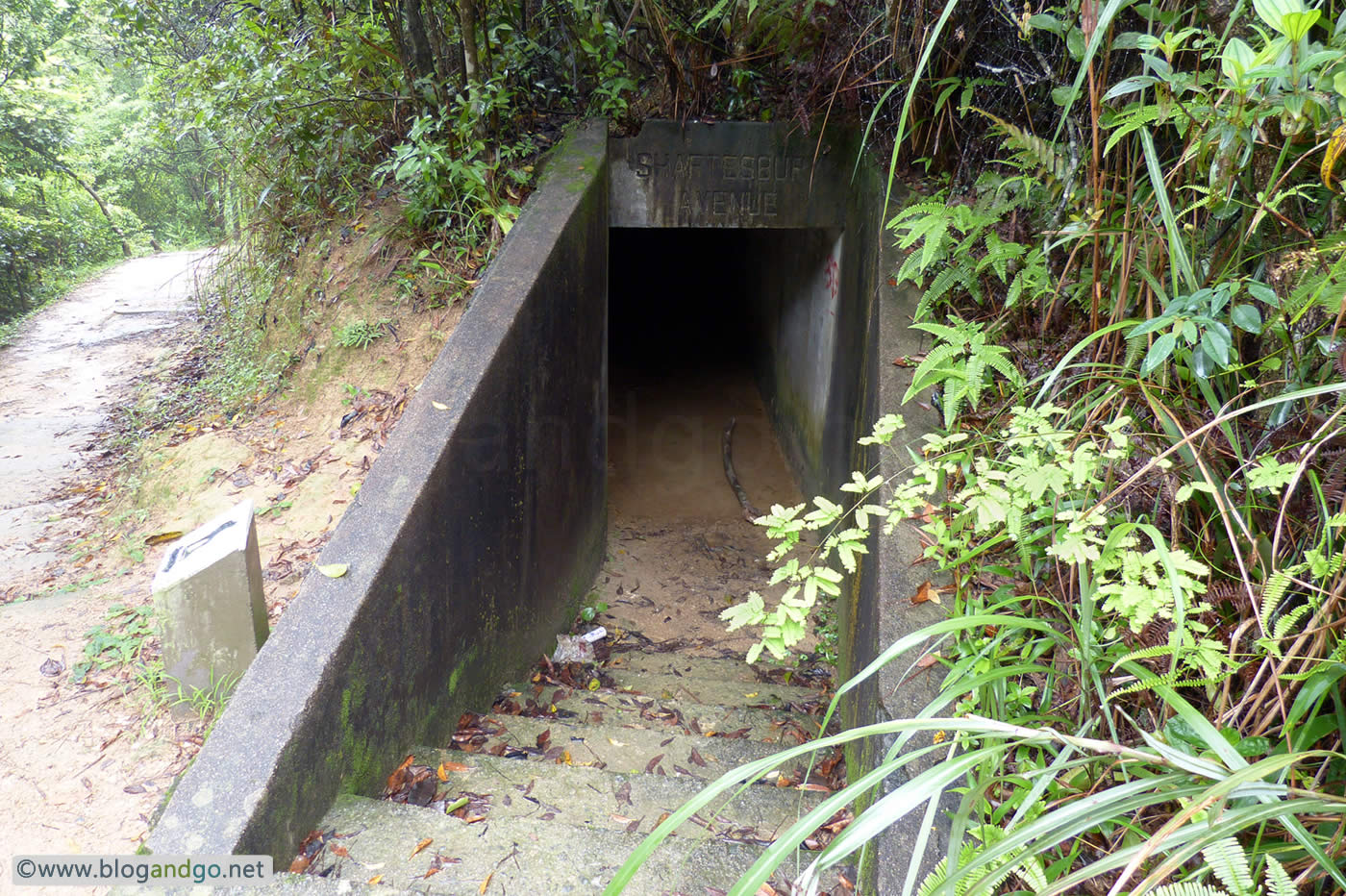 Maclehose 6 - Shaftesbury Avenue tunnel